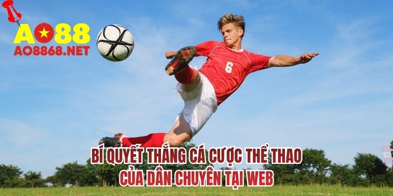 Bí quyết thắng cá cược thể thao của dân chuyên tại web