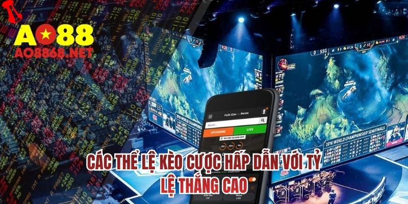 Các thể lệ kèo cược hấp dẫn với tỷ lệ thắng cao