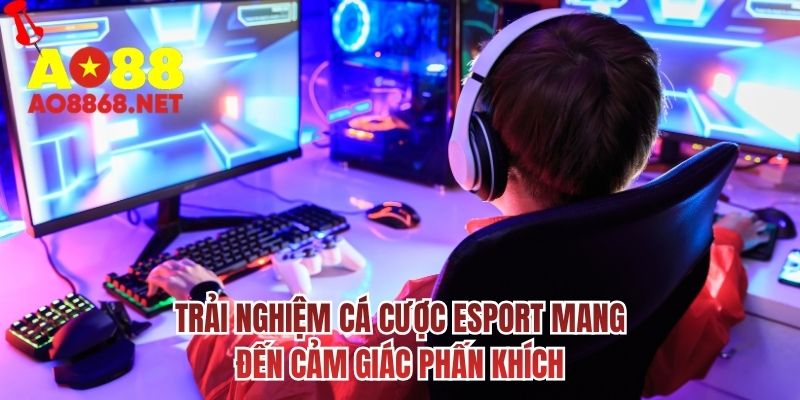 Trải nghiệm cá cược esport mang đến cảm giác phấn khích